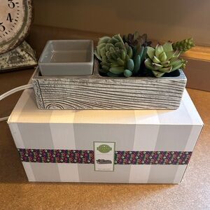 Scentsy Succulent Wax Warmer, like new with original box